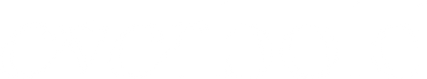 EVERBOLD BEAUTY logo